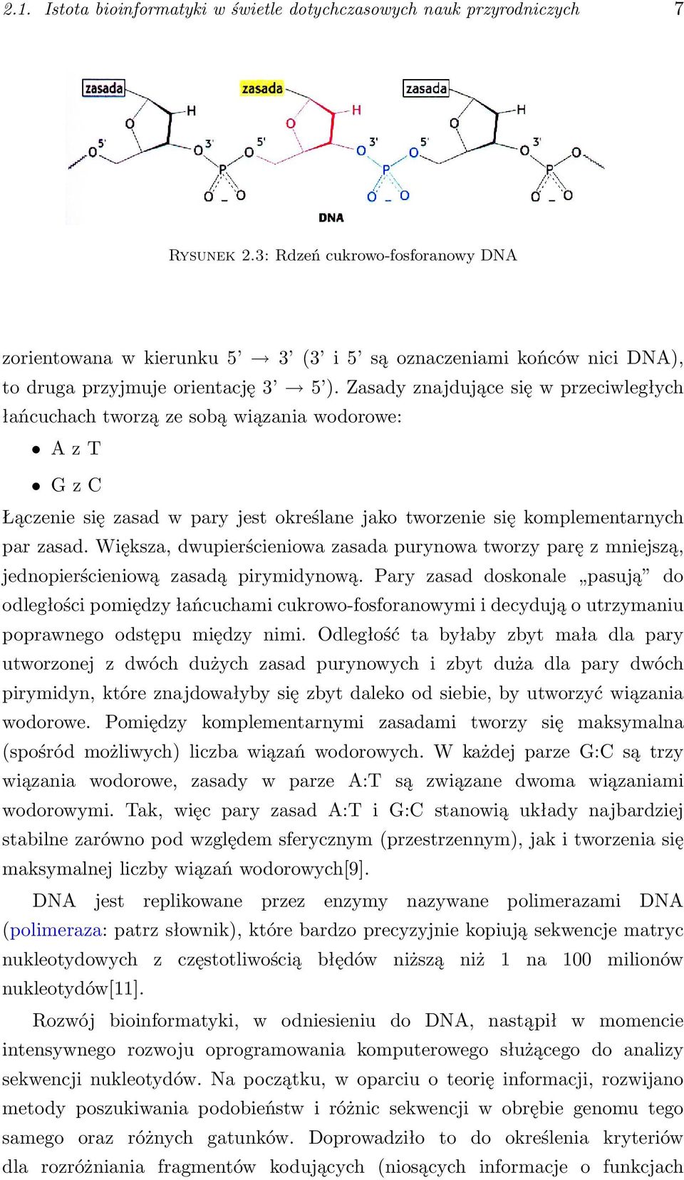 Zasady znajdujące się w przeciwległych łańcuchach tworzą ze sobą wiązania wodorowe: A z T G z C Łączenie się zasad w pary jest określane jako tworzenie się komplementarnych par zasad.