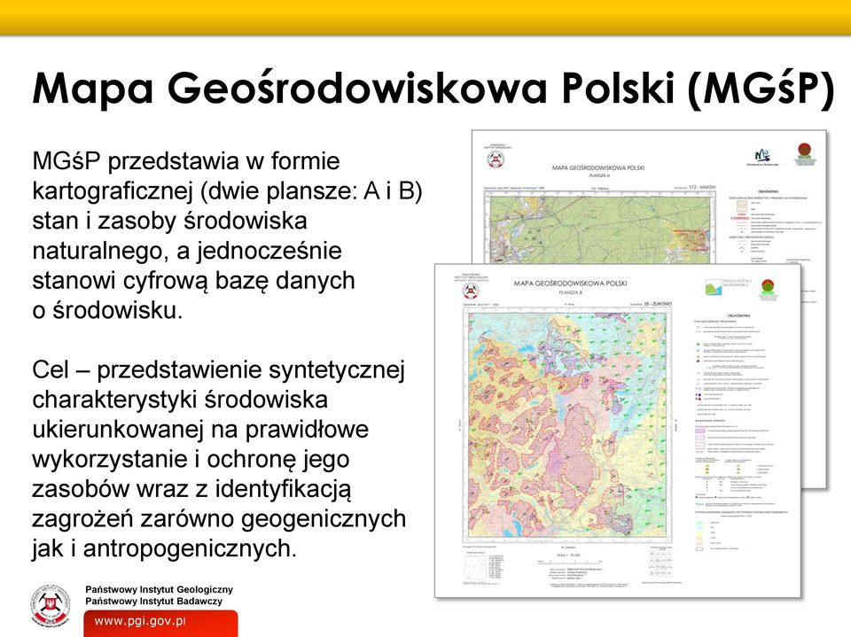 Cel przedstawienie syntetycznej charakterystyki środowiska ukierunkowanej na prawidłowe