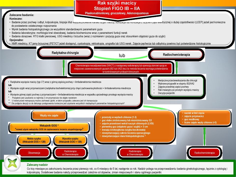 standardowymi parametrami guza Badania laboratoryjne: morfologia krwi obwodowej, badania biochemiczne wraz z parametrami funkcji nerek Badania obrazowe: RTG klatki piersiowej, USG miednicy i brzucha