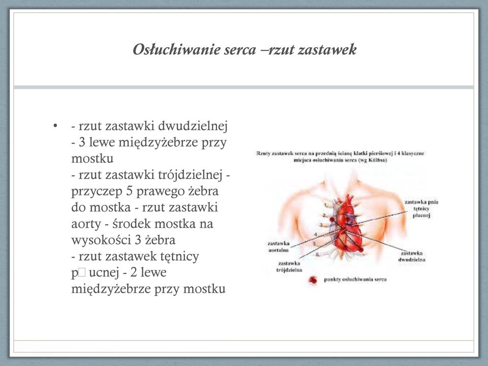 prawego żebra do mostka - rzut zastawki aorty - środek mostka na