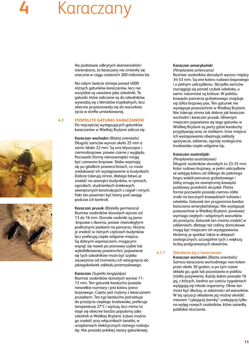 Te gatunki, które zaliczane są do szkodników, wywodzą się z klimatów tropikalnych, lecz obecnie przystosowały się do warunków życia w strefie umiarkowanej. 4.