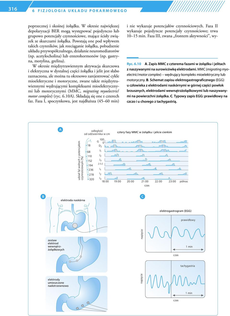 Powstają one pod wpływem takich czynników, jak rozciąganie żołądka, pobudzenie układu przywspółczulnego, działanie neuromediatorów (np. acetylocholina) lub enterohormonów (np.