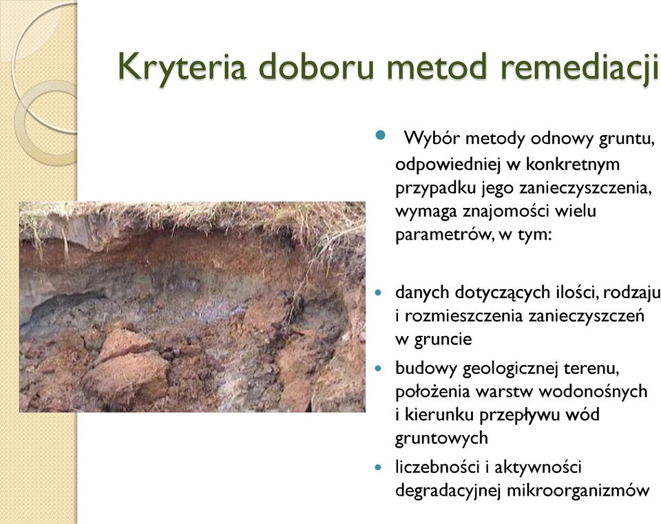 rodzaju i rozmieszczenia zanieczyszczeń w gruncie budowy geologicznej terenu, położenia warstw