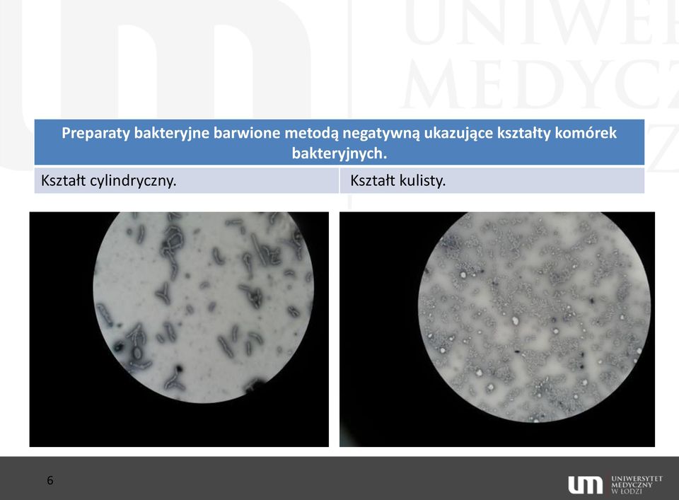 kształty komórek bakteryjnych.