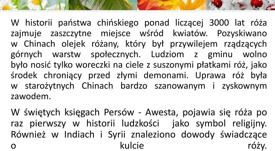 Ludziom z gminu wolno było nosić tylko woreczki na ciele z suszonymi płatkami róż, jako środek chroniący przed złymi demonami.