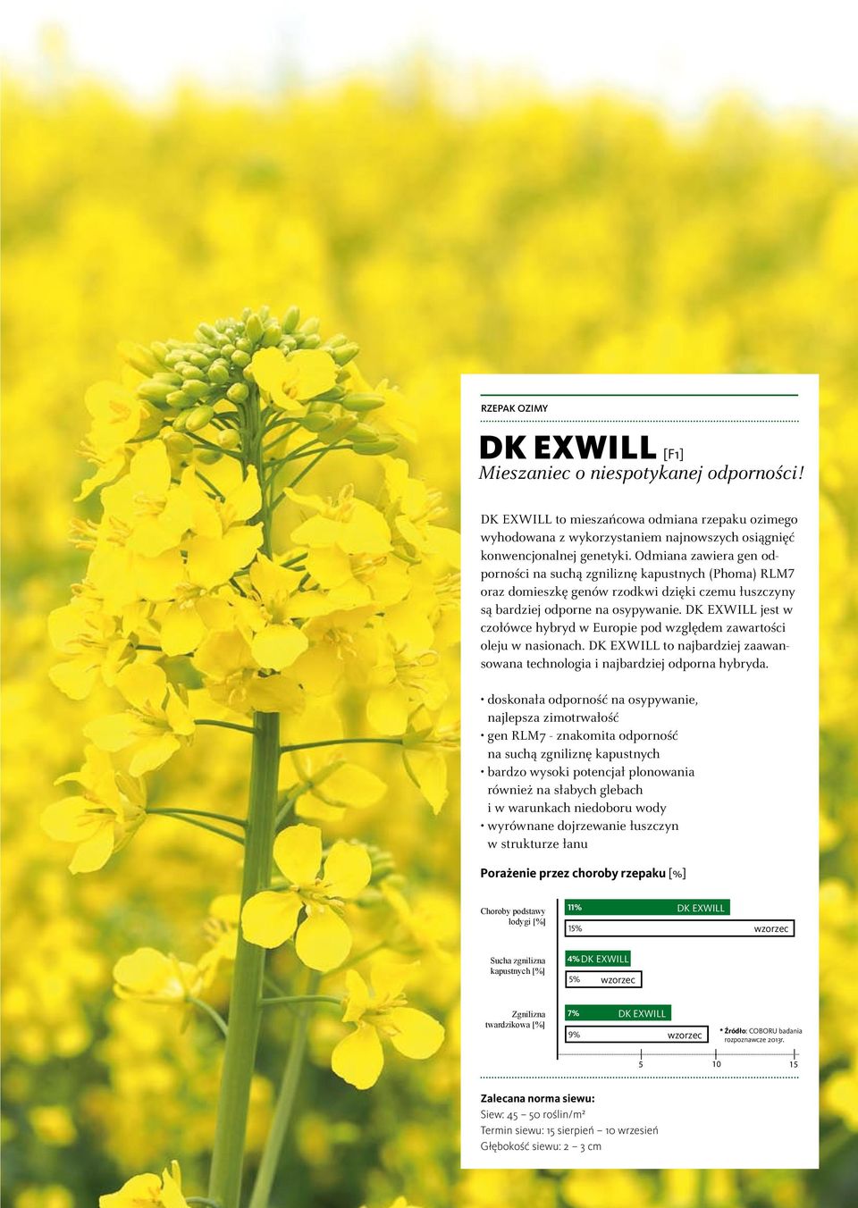 DK EXWILL jest w czołówce hybryd w Europie pod względem zawartości oleju w nasionach. DK EXWILL to najbardziej zaawansowana technologia i najbardziej odporna hybryda.