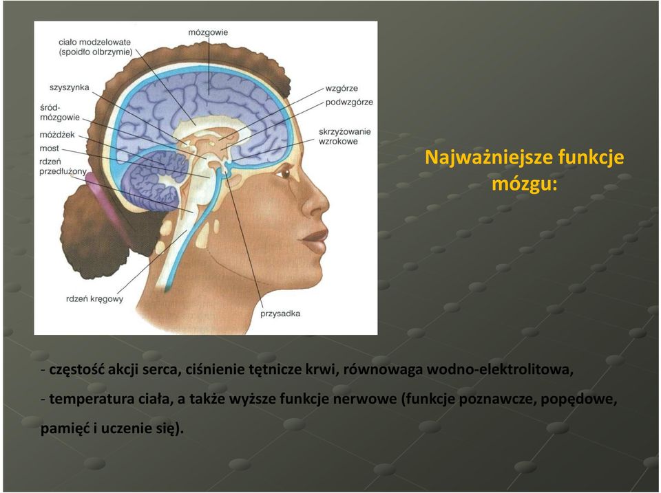 wodno-elektrolitowa, -temperatura ciała, a także