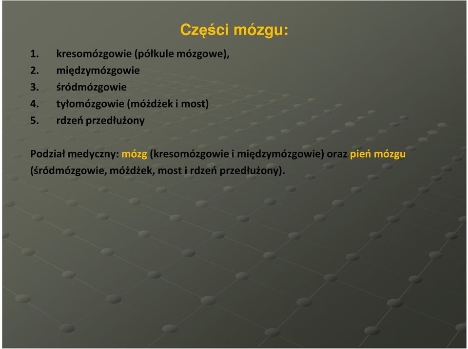 rdzeń przedłużony Części mózgu: Podział medyczny: