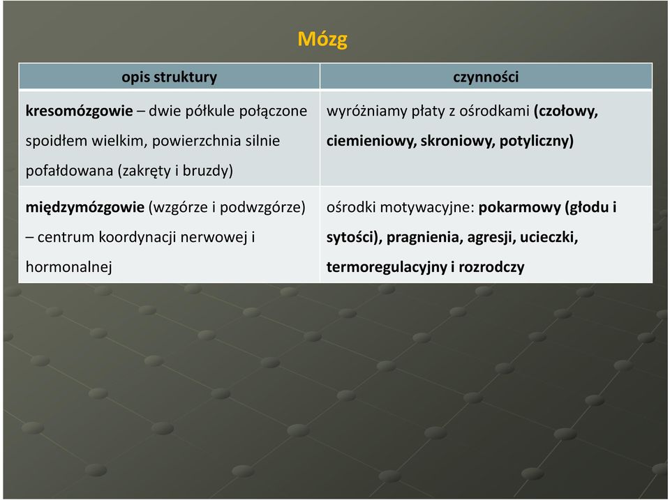 hormonalnej czynności wyróżniamy płaty z ośrodkami (czołowy, ciemieniowy, skroniowy, potyliczny)