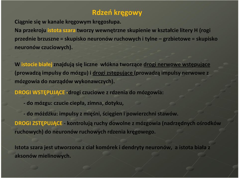 W istocie białej znajdują się liczne włókna tworzące drogi nerwowe wstępujące (prowadzą impulsy do mózgu) i drogi zstępujące (prowadzą impulsy nerwowe z mózgowia do narządów wykonawczych).