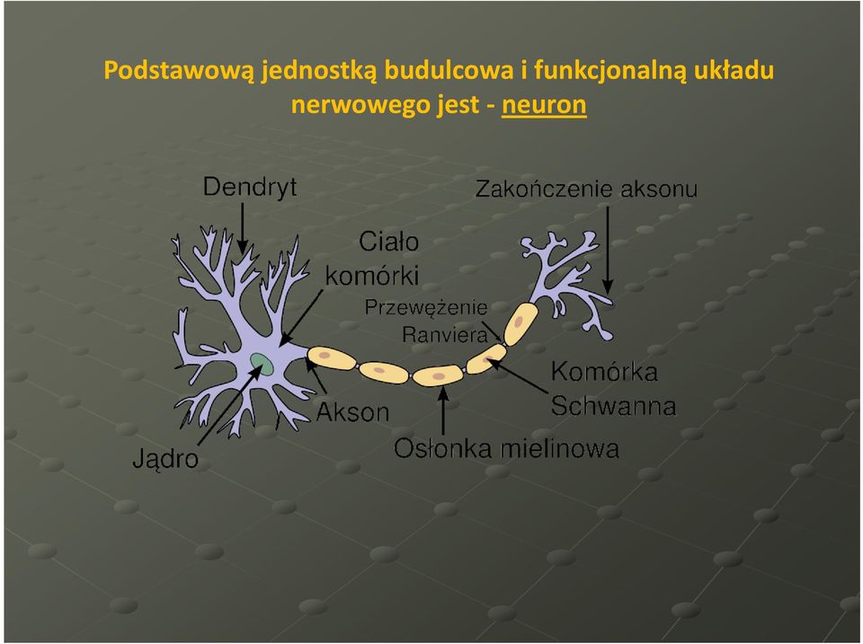 budulcowa i