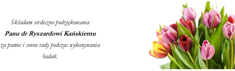 Ryszardowi Kańskiemu za