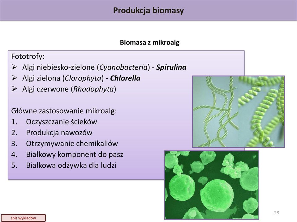 Główne zastosowanie mikroalg: 1. Oczyszczanie ścieków 2. Produkcja nawozów 3.