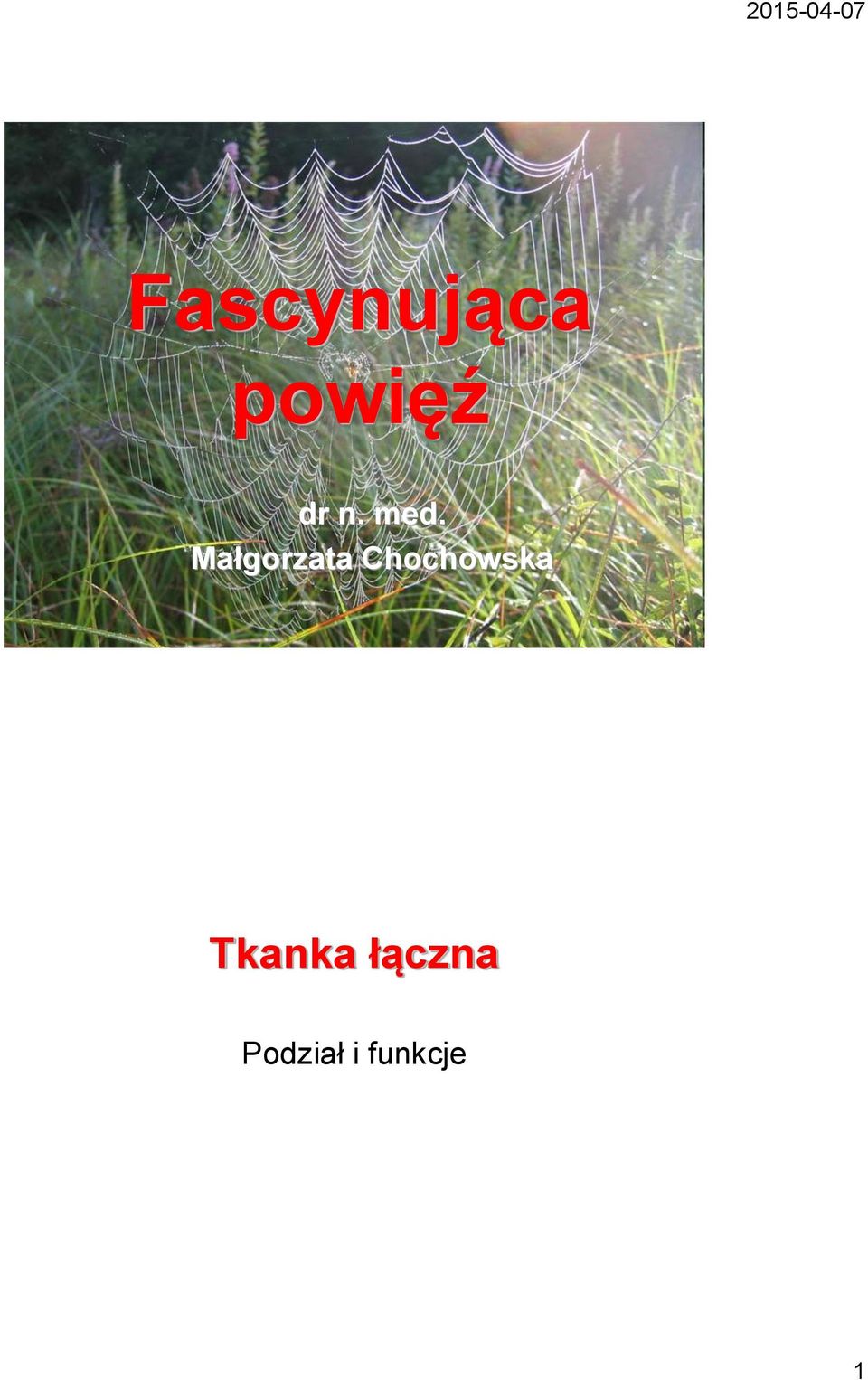 Małgorzata Chochowska