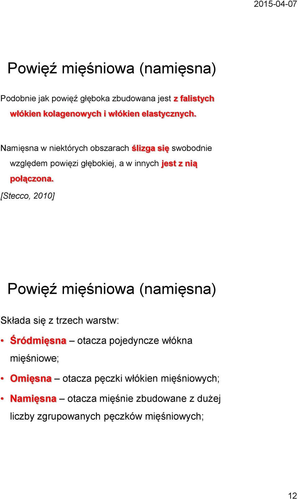Namięsna w niektórych obszarach ślizga się swobodnie względem powięzi głębokiej, a w innych jest z nią połączona.