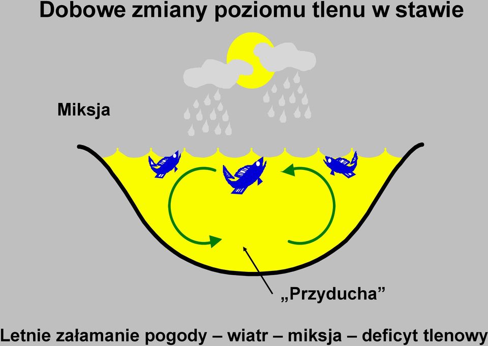 Przyducha Letnie załamanie