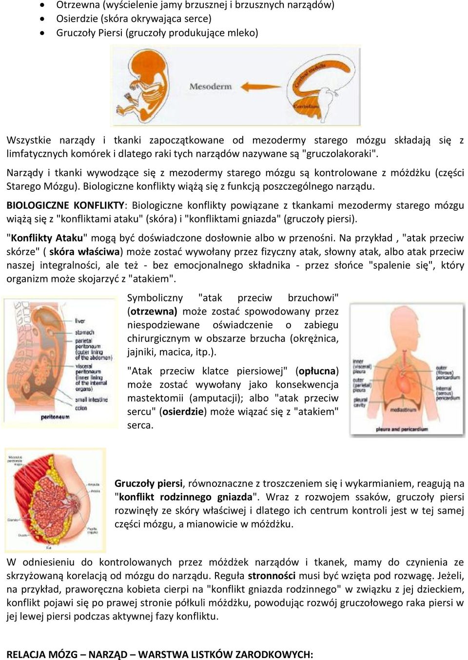 Narządy i tkanki wywodzące się z mezodermy starego mózgu są kontrolowane z móżdżku (części Starego Mózgu). Biologiczne konflikty wiążą się z funkcją poszczególnego narządu.