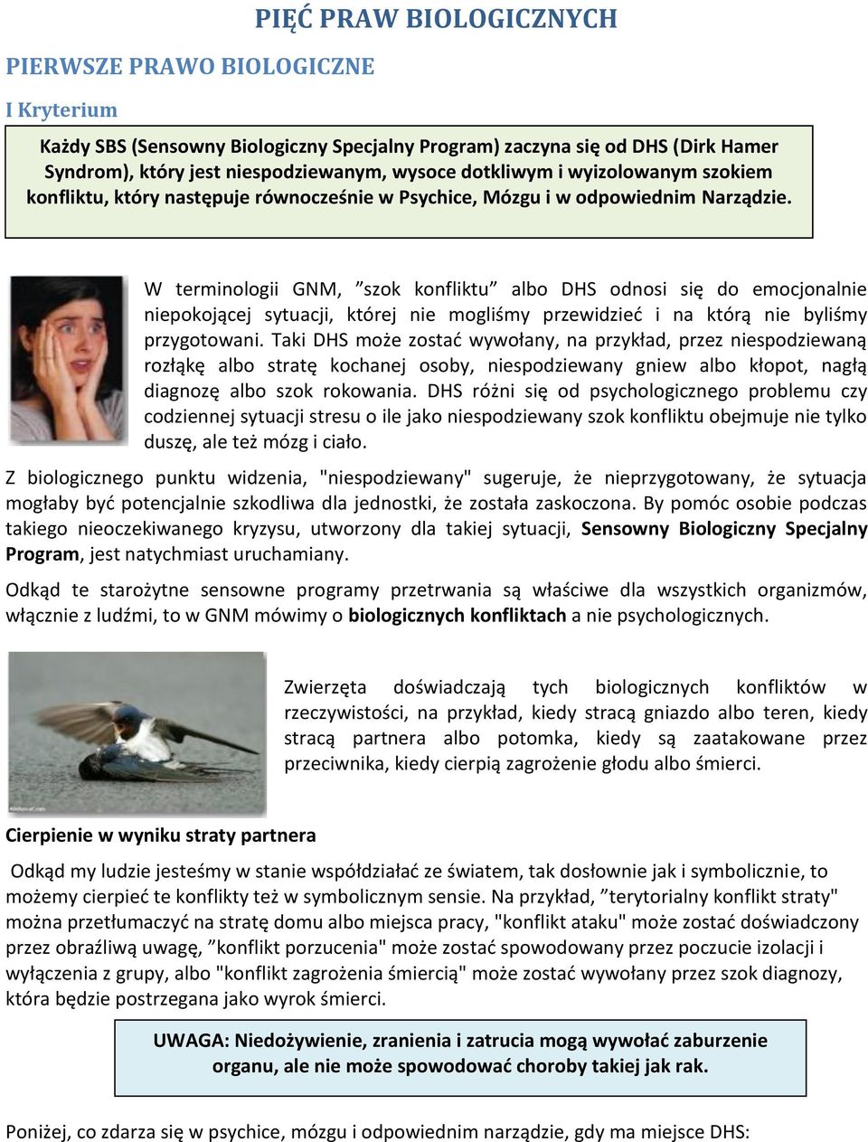 W terminologii GNM, szok konfliktu albo DHS odnosi się do emocjonalnie niepokojącej sytuacji, której nie mogliśmy przewidzieć i na którą nie byliśmy przygotowani.