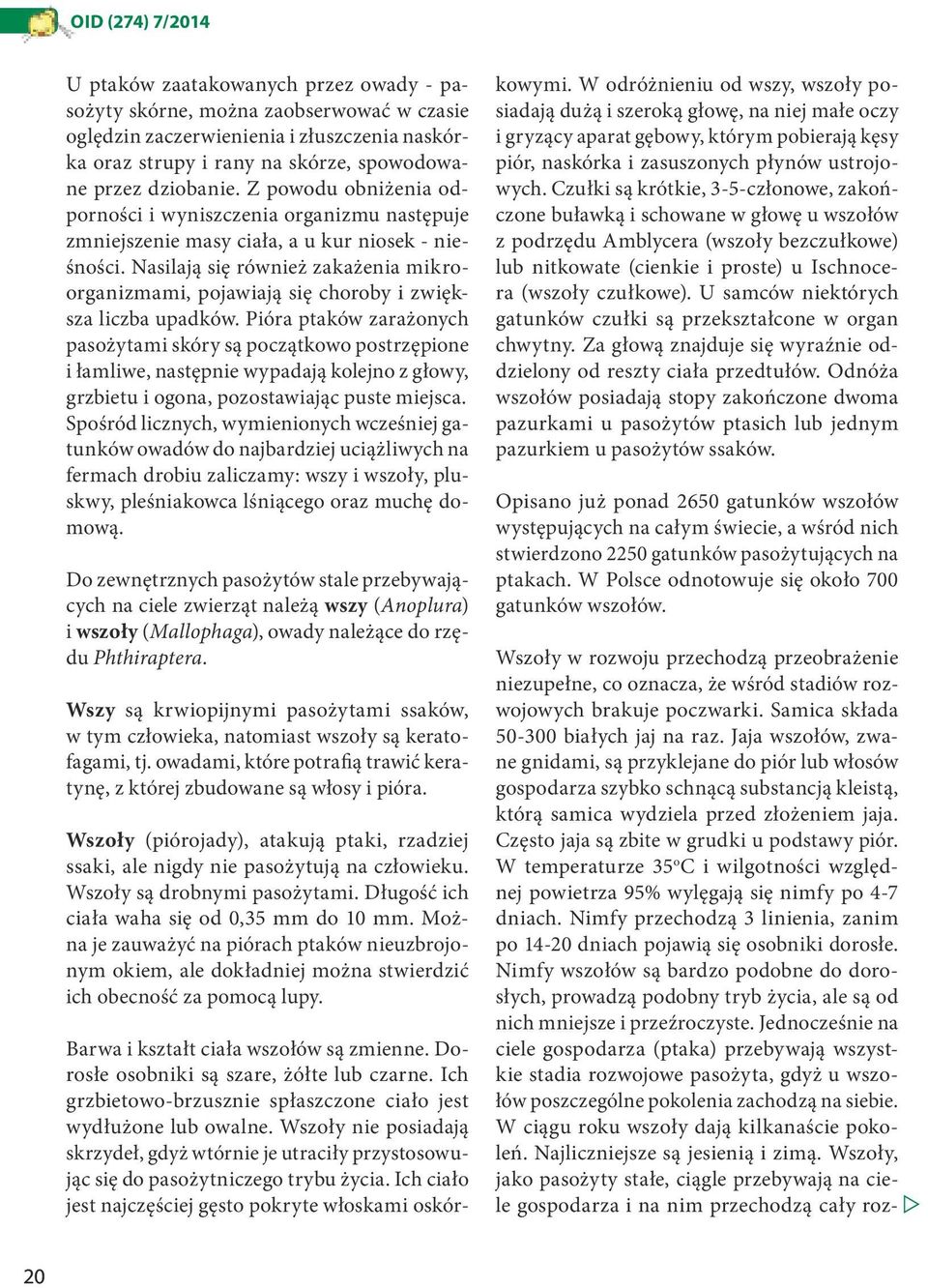 Nasilają się również zakażenia mikroorganizmami, pojawiają się choroby i zwiększa liczba upadków.