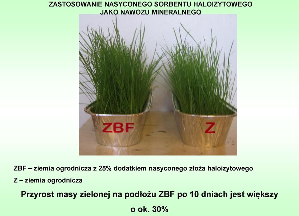 nasyconego złoża haloizytowego Z ziemia ogrodnicza