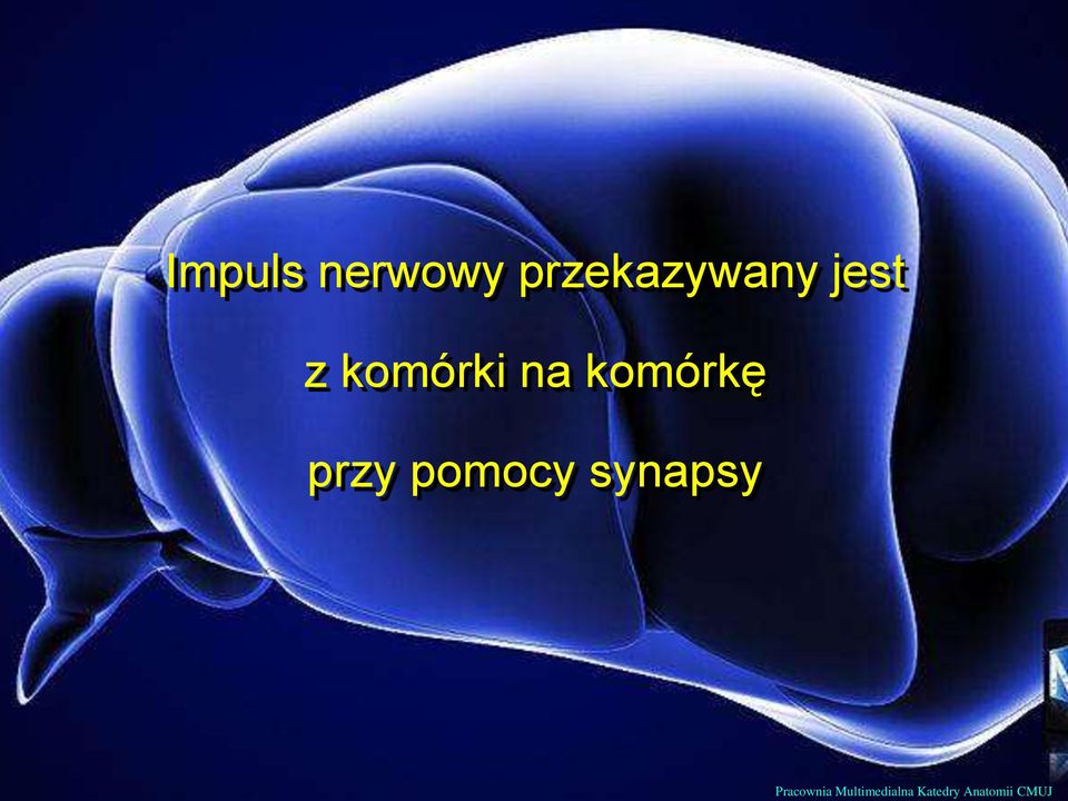 przy pomocy synapsy Pracownia