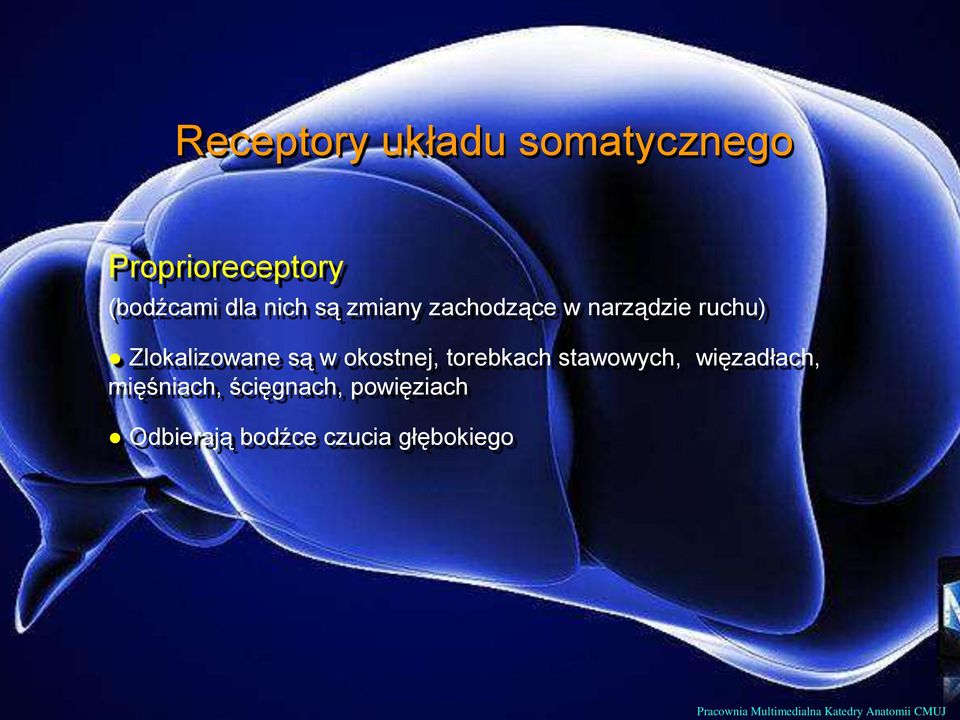 torebkach stawowych, więzadłach, mięśniach, ścięgnach, powięziach