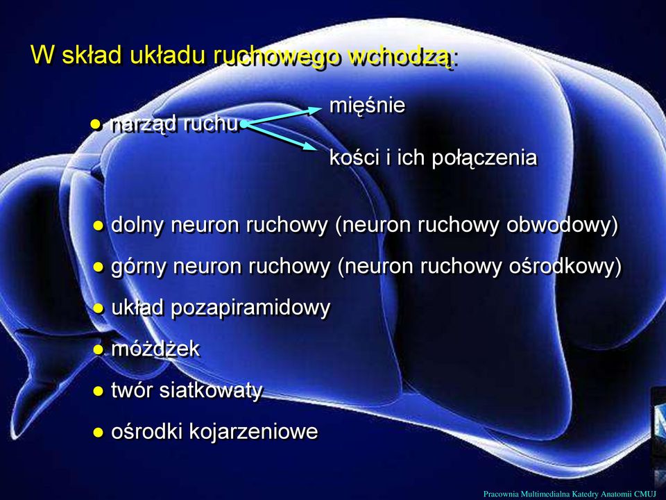 ruchowy (neuron ruchowy ośrodkowy) układ pozapiramidowy móżdżek twór