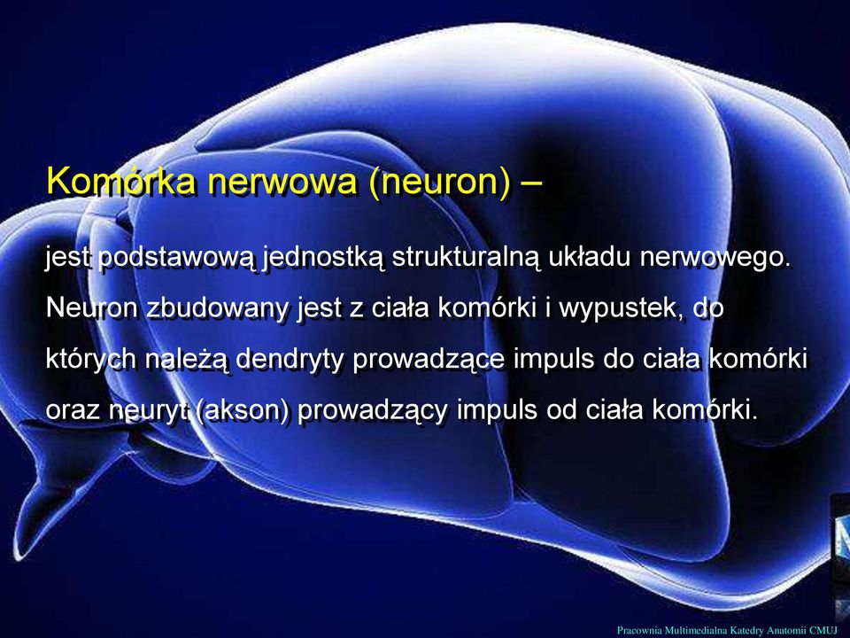 Neuron zbudowany jest z ciała komórki i wypustek, do których należą