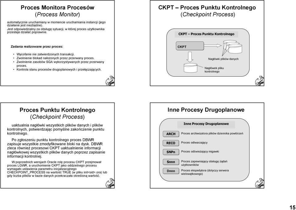 CKPT Proces Punktu Kontrolnego (Checkpoint Process) CKPT Proces Punktu Kontrolnego Zadania realizowane przez proces: Wycofanie nie zatwierdzonych transakcji.