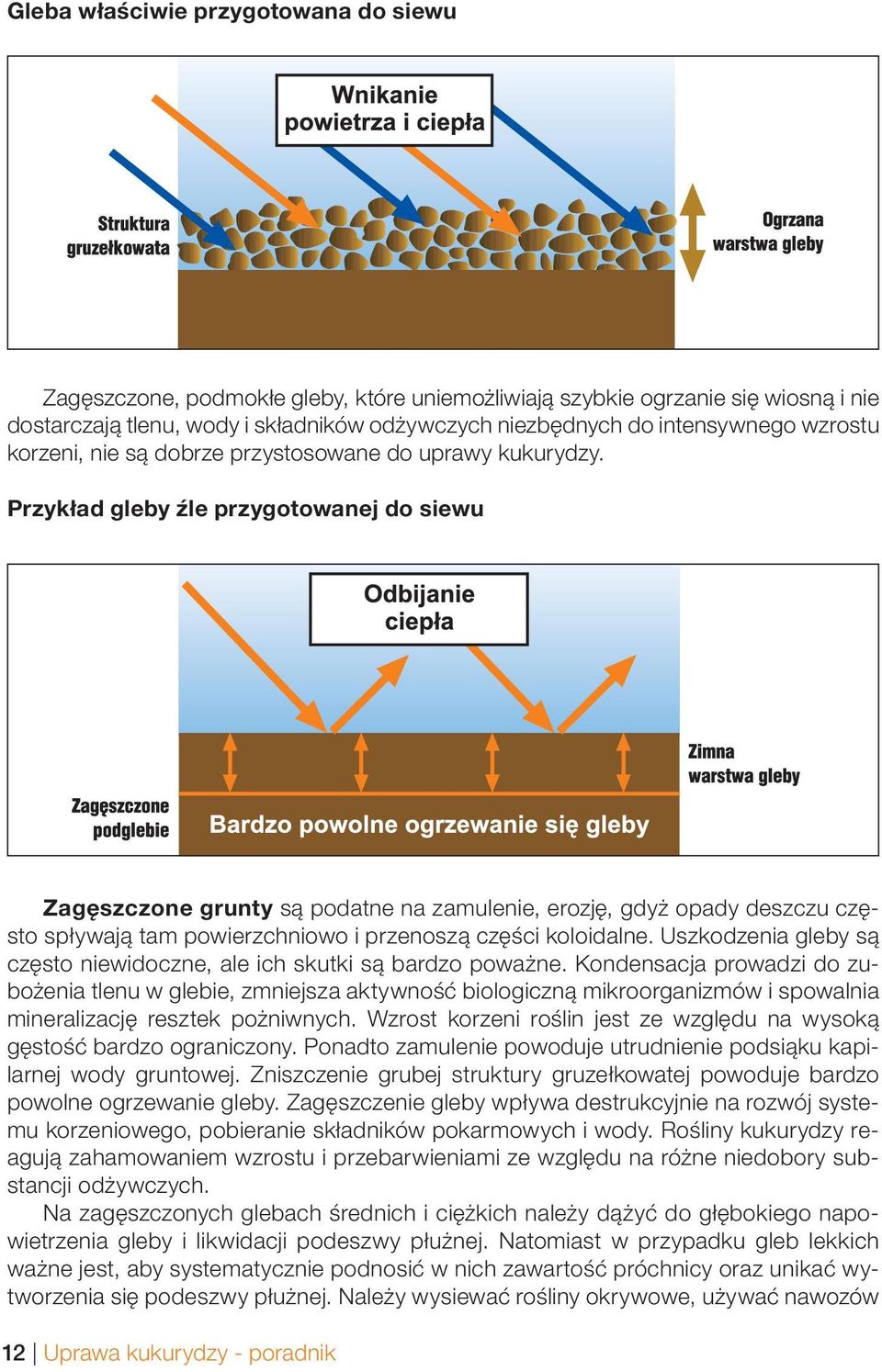 Przykład gleby źle przygotowanej do siewu Zagęszczone grunty są podatne na zamulenie, erozję, gdyż opady deszczu często spływają tam powierzchniowo i przenoszą części koloidalne.