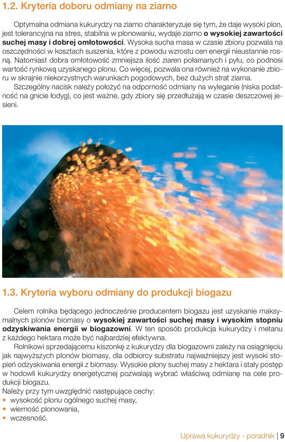 Natomiast dobra omłotowość zmniejsza ilość ziaren połamanych i pyłu, co podnosi wartość rynkową uzyskanego plonu.