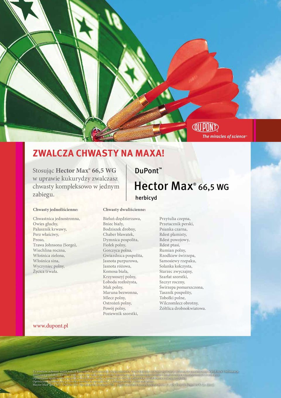 roczna, Włośnica zielona, Włośnica sina, Wyczyniec polny, Życica trwała. www.dupont.