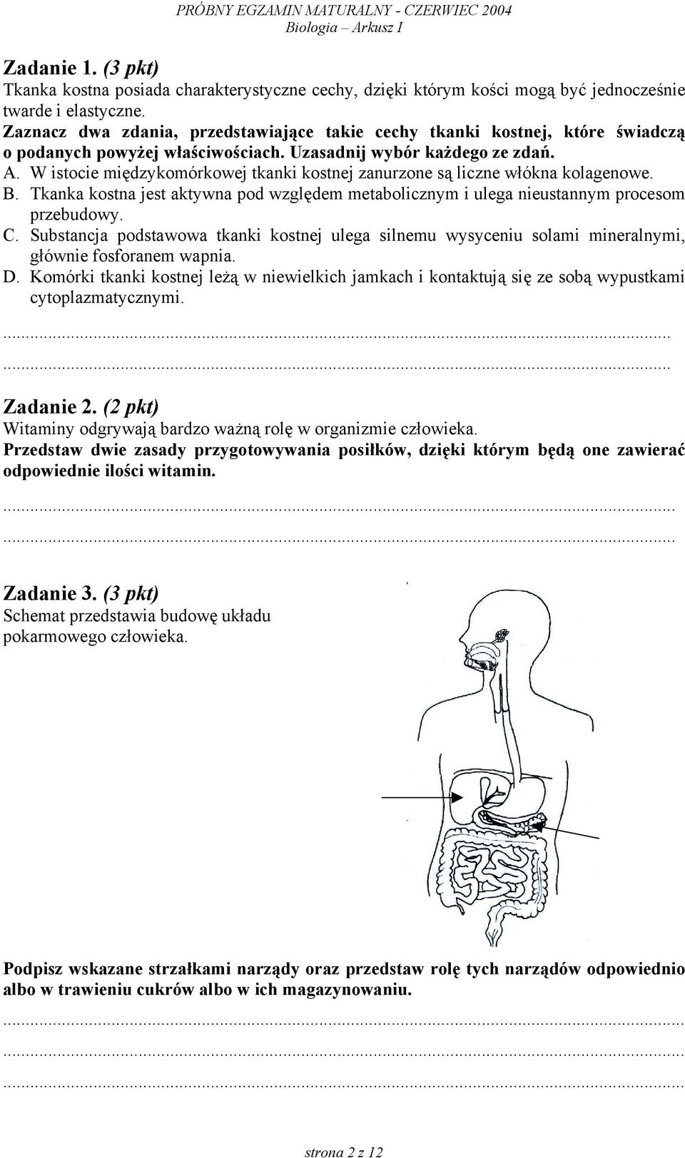 W istocie międzykomórkowej tkanki kostnej zanurzone są liczne włókna kolagenowe. B. Tkanka kostna jest aktywna pod względem metabolicznym i ulega nieustannym procesom przebudowy. C.