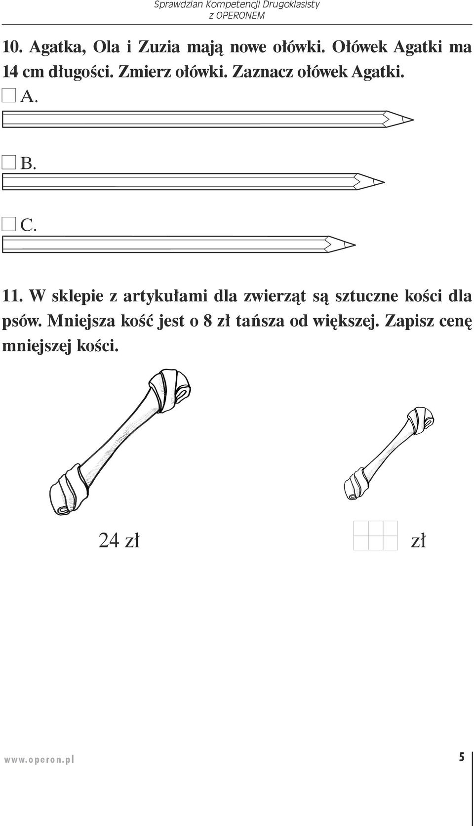 W sklepie z artykułami dla zwierząt są sztuczne kości dla psów.