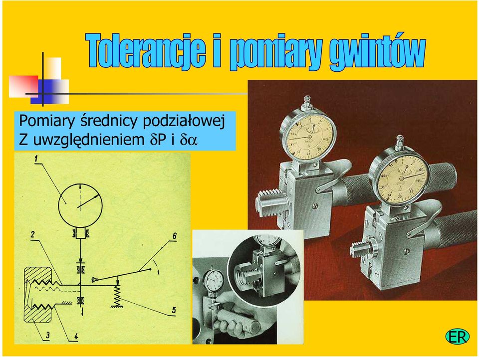 podziałowej Z