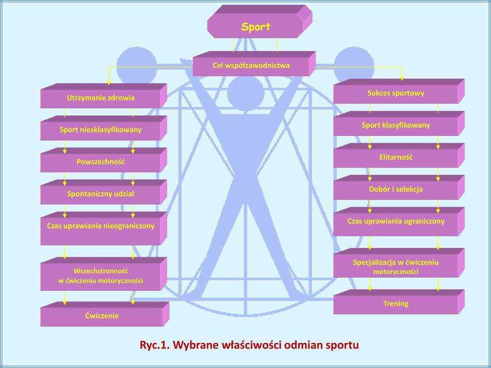 nieograniczony Czas uprawiania ograniczony Wszechstronność w ćwiczeniu motoryczności