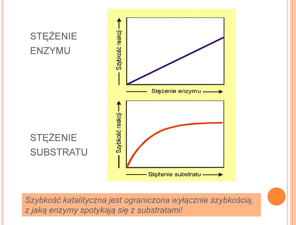 ograniczona wyłącznie szybkością,