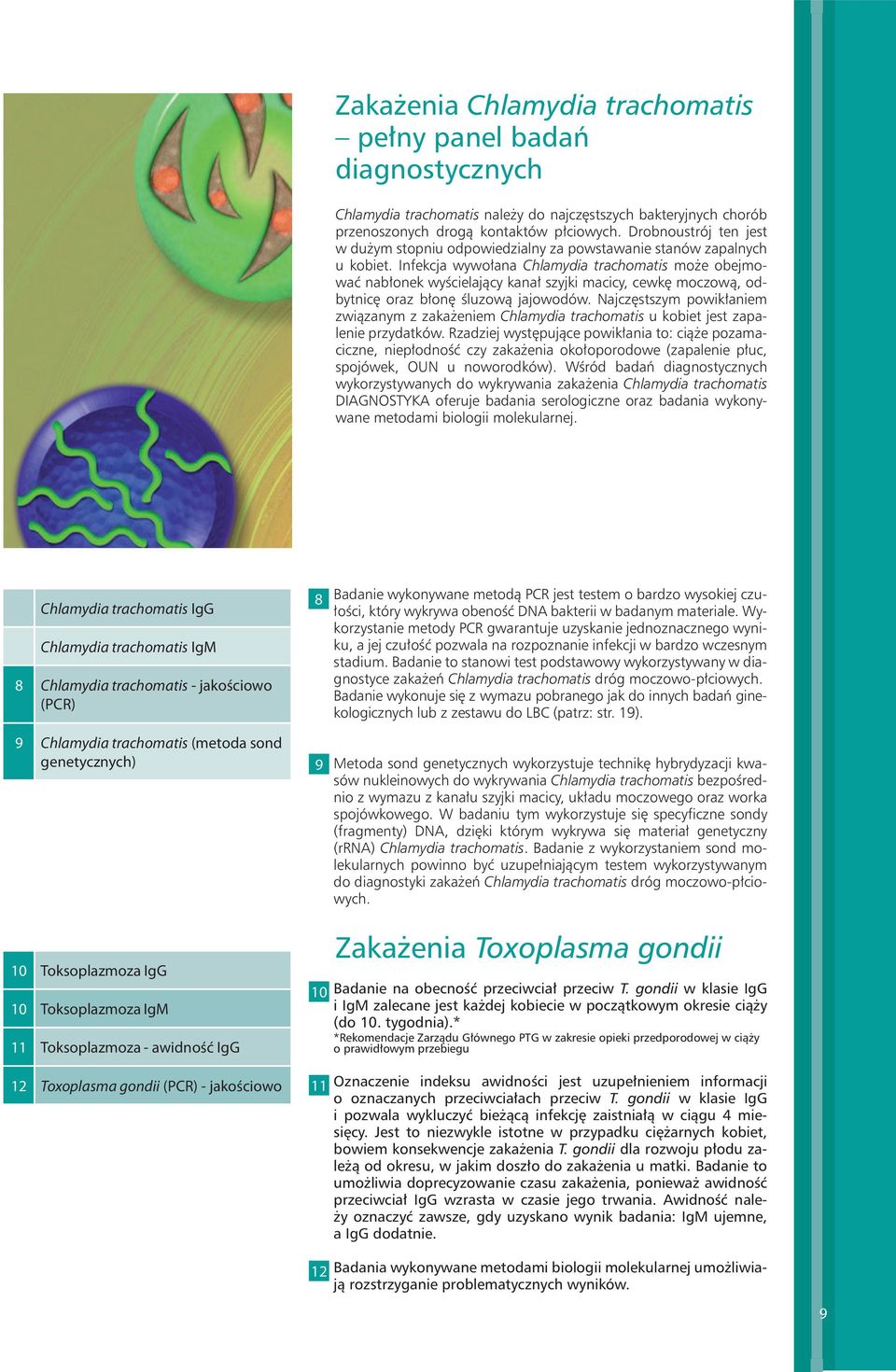 Infekcja wywołana Chlamydia trachomatis może obejmować nabłonek wyścielający kanał szyjki macicy, cewkę moczową, odbytnicę oraz błonę śluzową jajowodów.