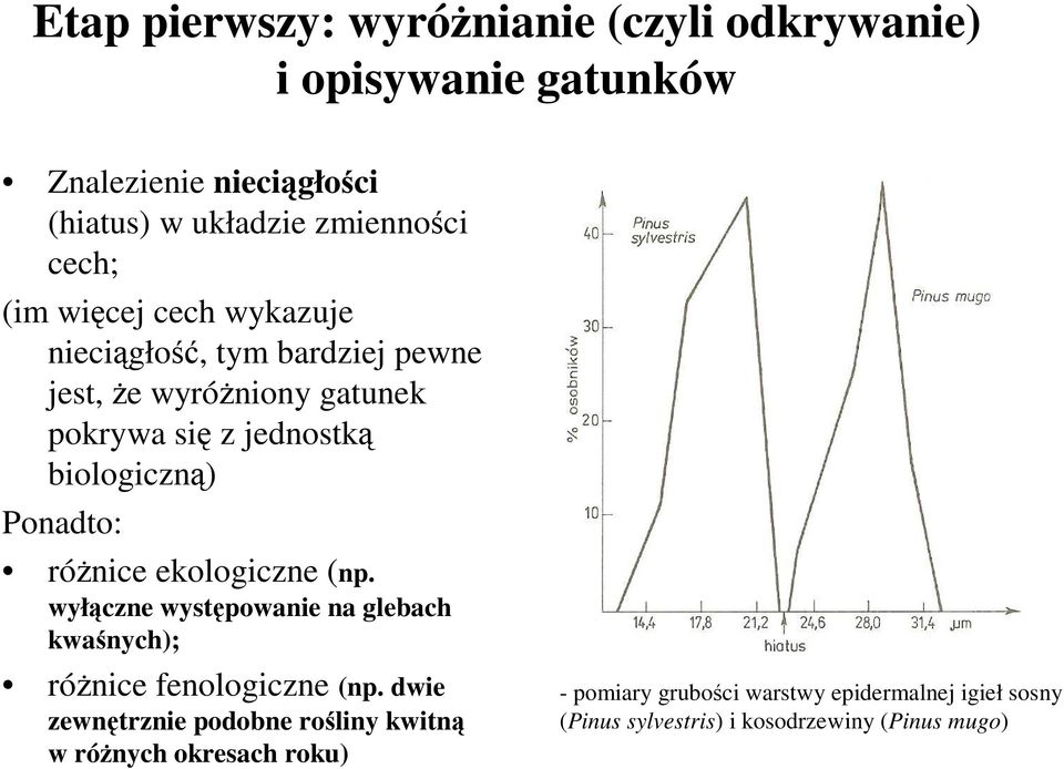 Ponadto: różnice ekologiczne (np. wyłączne występowanie na glebach kwaśnych); różnice fenologiczne (np.