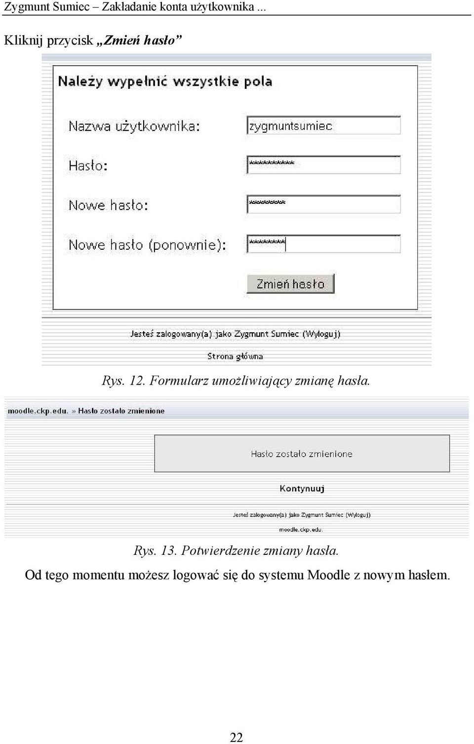 Formularz umożliwiający zmianę hasła. Rys. 13.