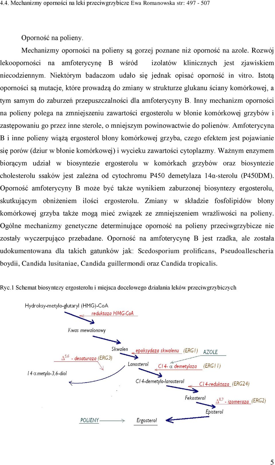 Istotą oporności są mutacje, które prowadzą do zmiany w strukturze glukanu ściany komórkowej, a tym samym do zaburzeń przepuszczalności dla amfoterycyny B.