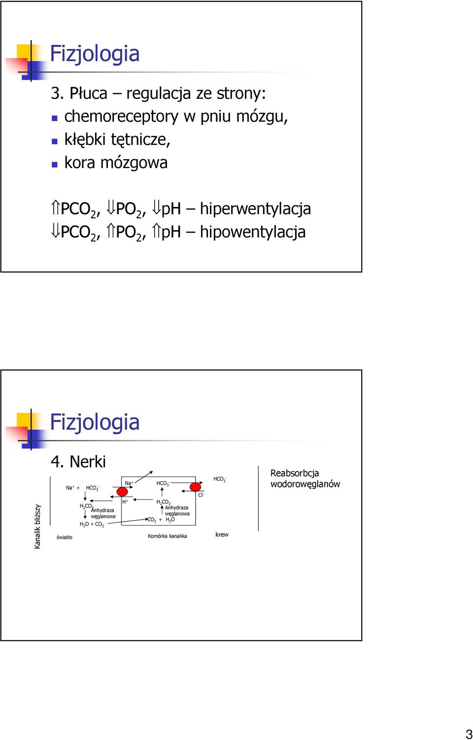 mózgowa PCO, PO, ph hiperwentylacja PCO, PO, ph hipowentylacja Fizjologia Kanalik