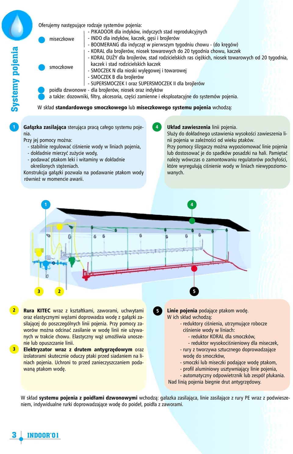 Krzysztof Majkowski Prezes Zarz¹du Indoor Group Ltd Pdf