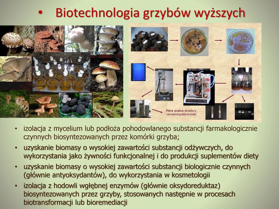 diety uzyskanie biomasy o wysokiej zawartości substancji biologicznie czynnych (głównie antyoksydantów), do wykorzystania w kosmetologii izolacja