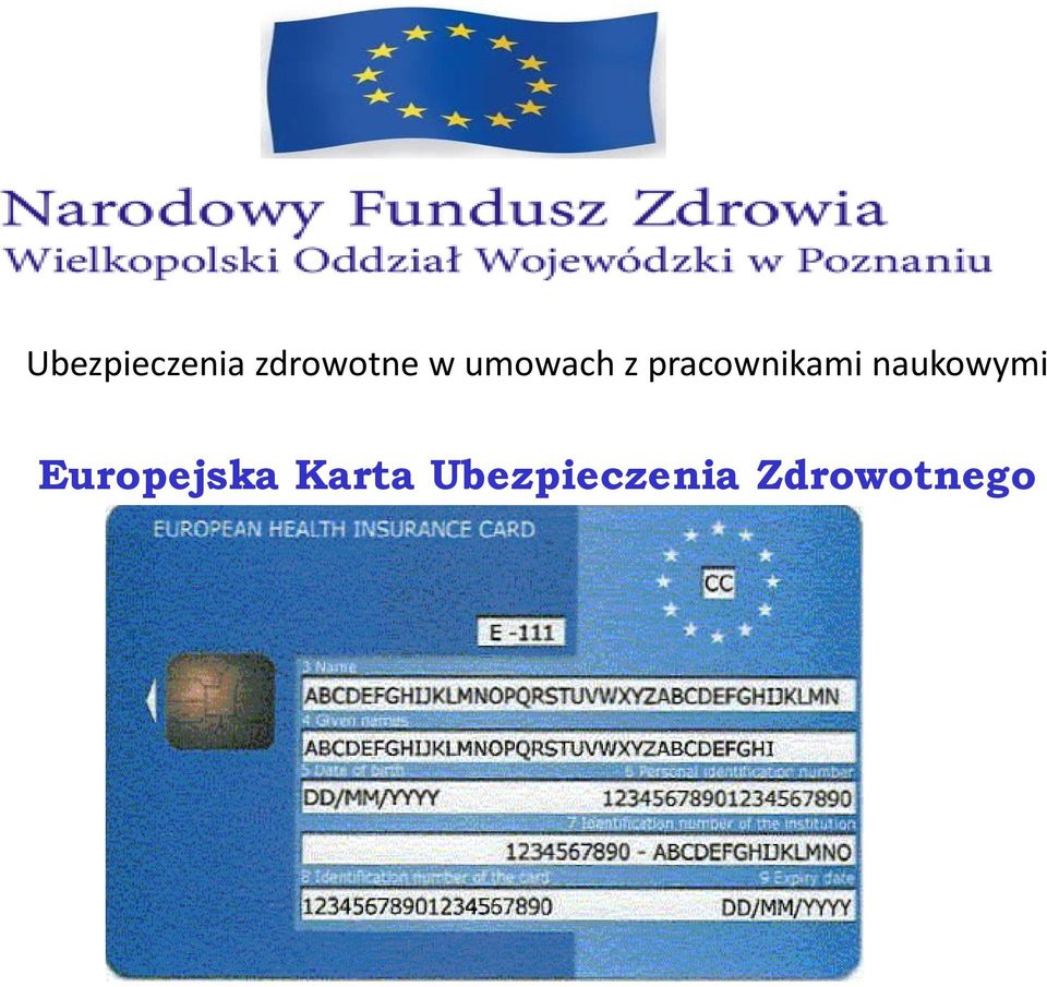 naukowymi Europejska