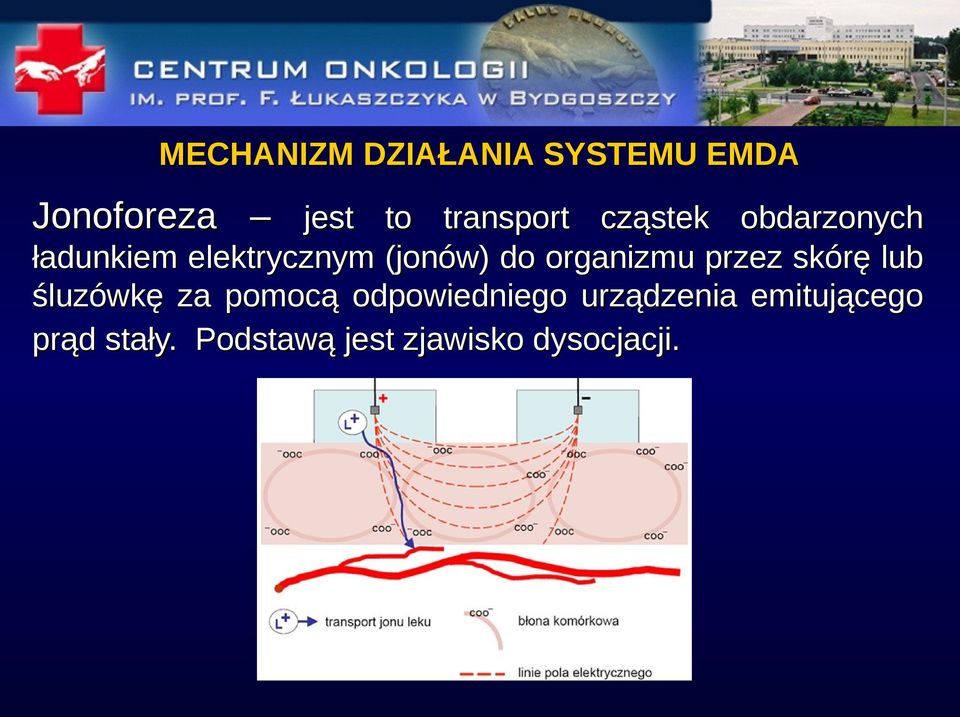 do organizmu przez skórę lub śluzówkę za pomocą