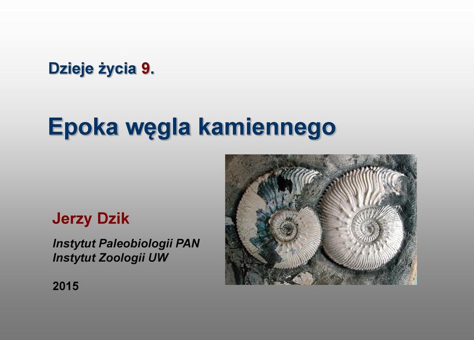 Jerzy Dzik Instytut