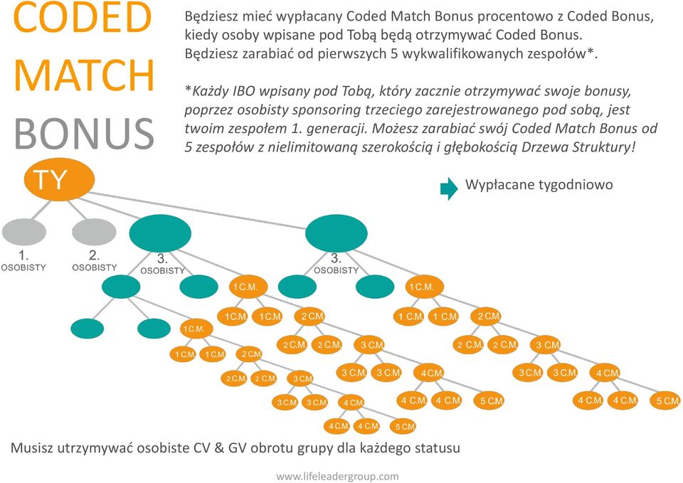 *Każdy IBO wpisany pod Tobą, który zacznie otrzymywać swoje bonusy, poprzez osobisty sponsoring trzeciego zarejestrowanego pod sobą, jest twoim