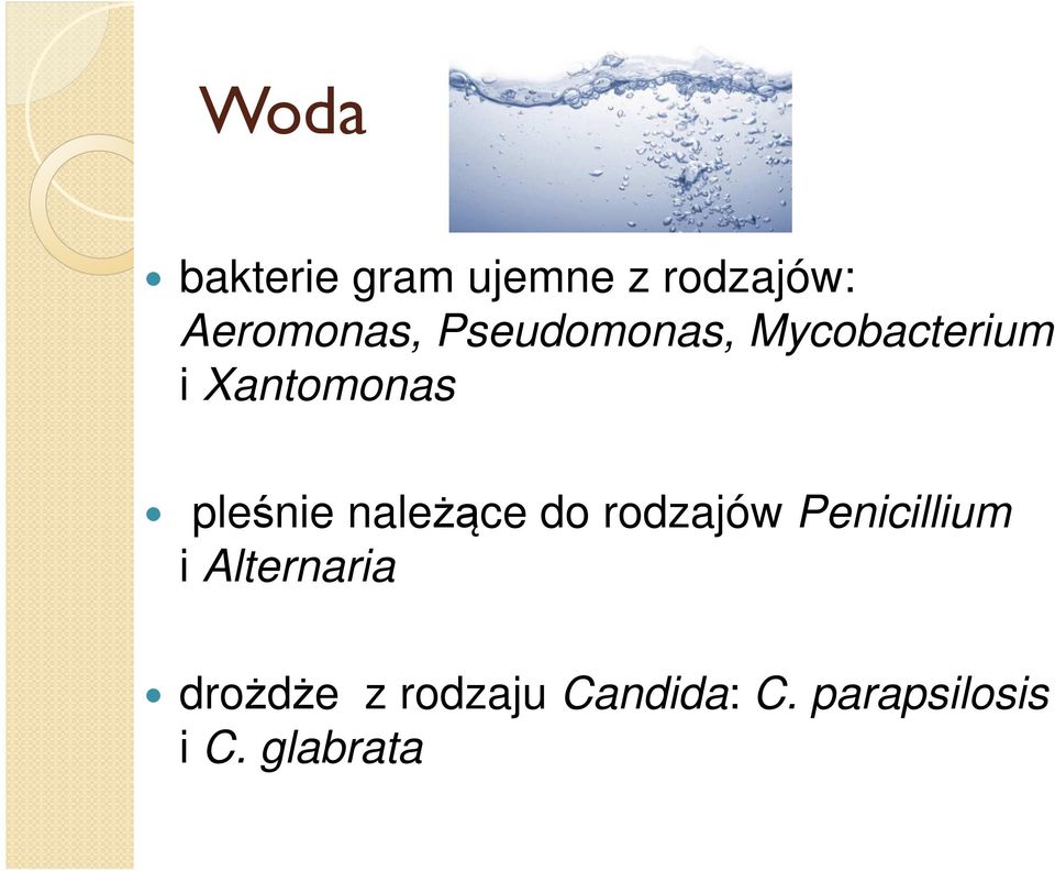 należące do rodzajów Penicillium i Alternaria