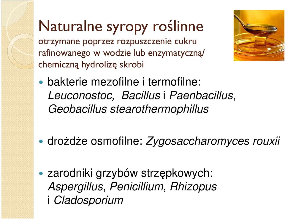 Bacillus i Paenbacillus, Geobacillus stearothermophillus drożdże osmofilne: